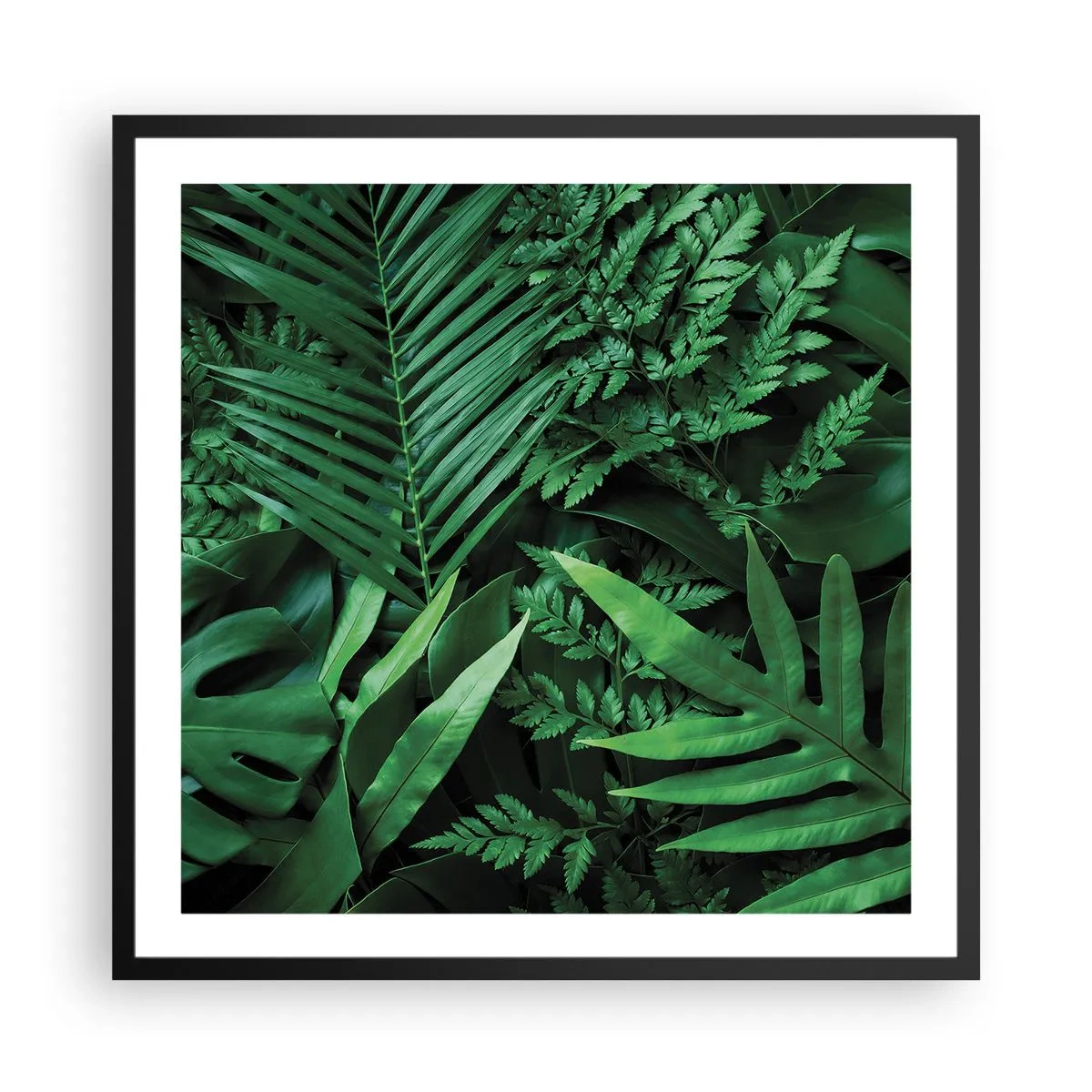Poster in een zwarte lijst - Ineengedoken in het groen - 60x60 cm