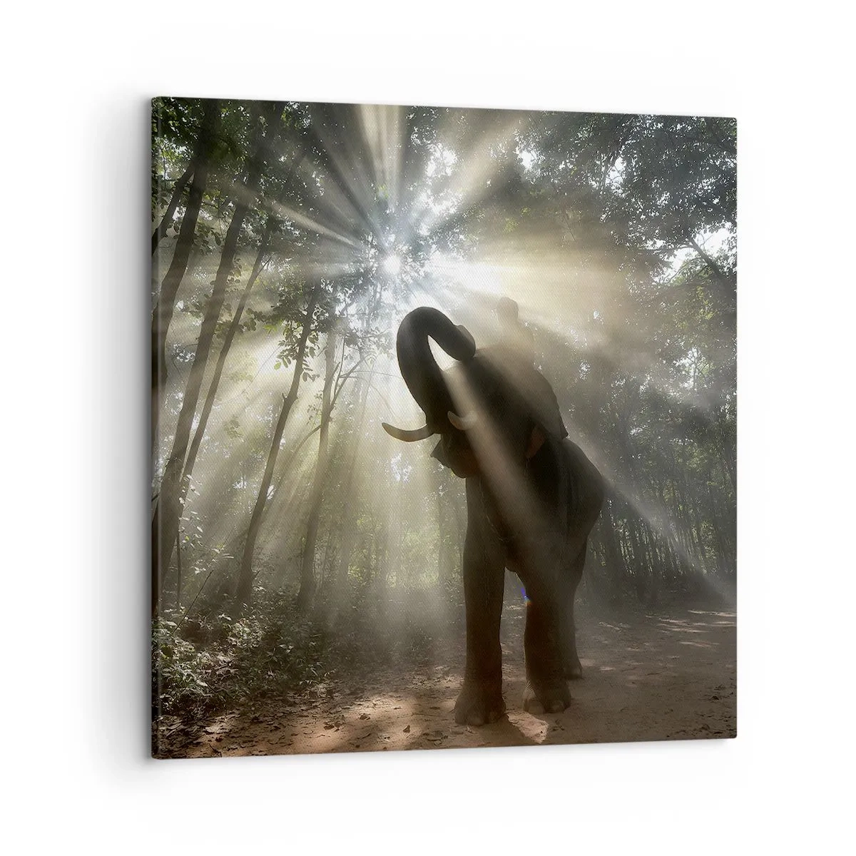 Schilderen op canvas - Onder de gelukkige ster - 50x50 cm