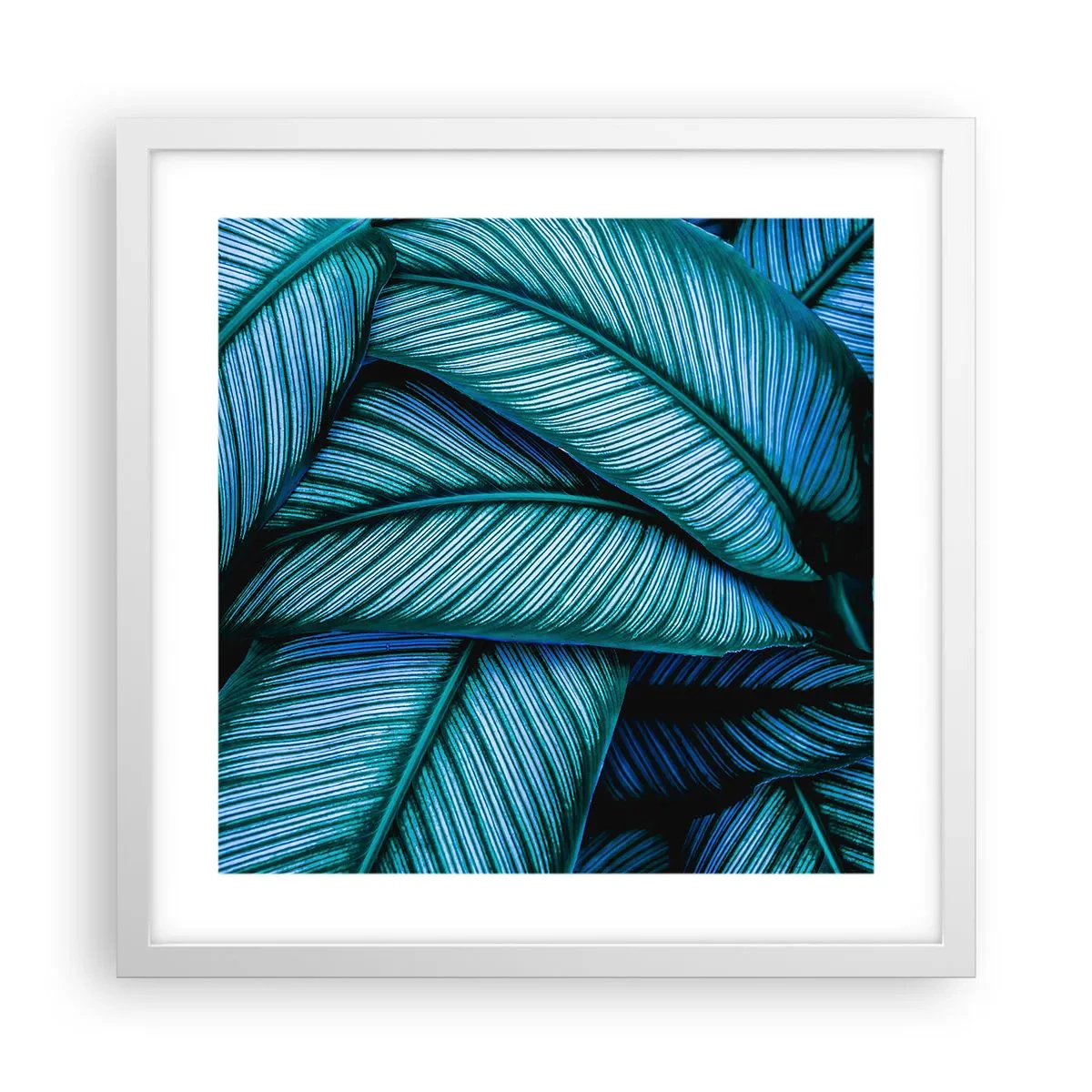 Poster in een witte lijst - Levens lijnen - 40x40 cm