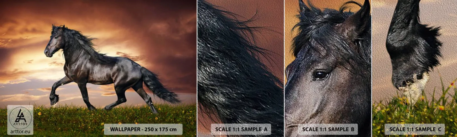 Fotobehang Monster Premium Sand - Zwarte Prins - Dieren, Arabisch paard, Landschap - 100x30 cm