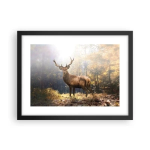 Poster in een zwarte lijst - In volle majesteit - 40x30 cm