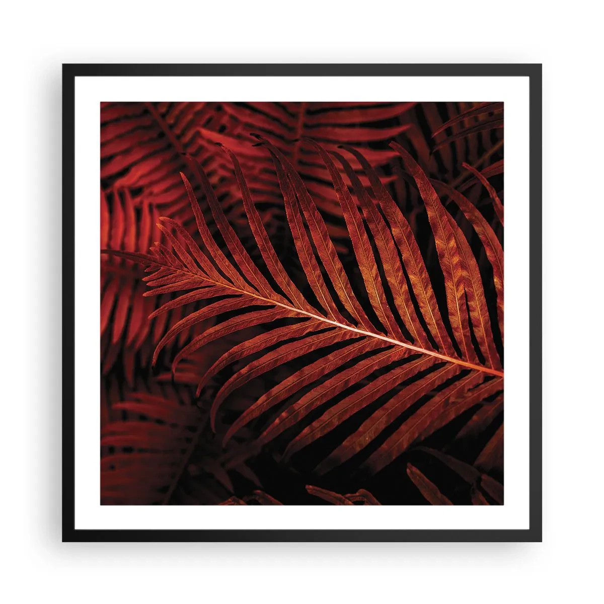 Poster in een zwarte lijst - De hitte van het leven - 60x60 cm