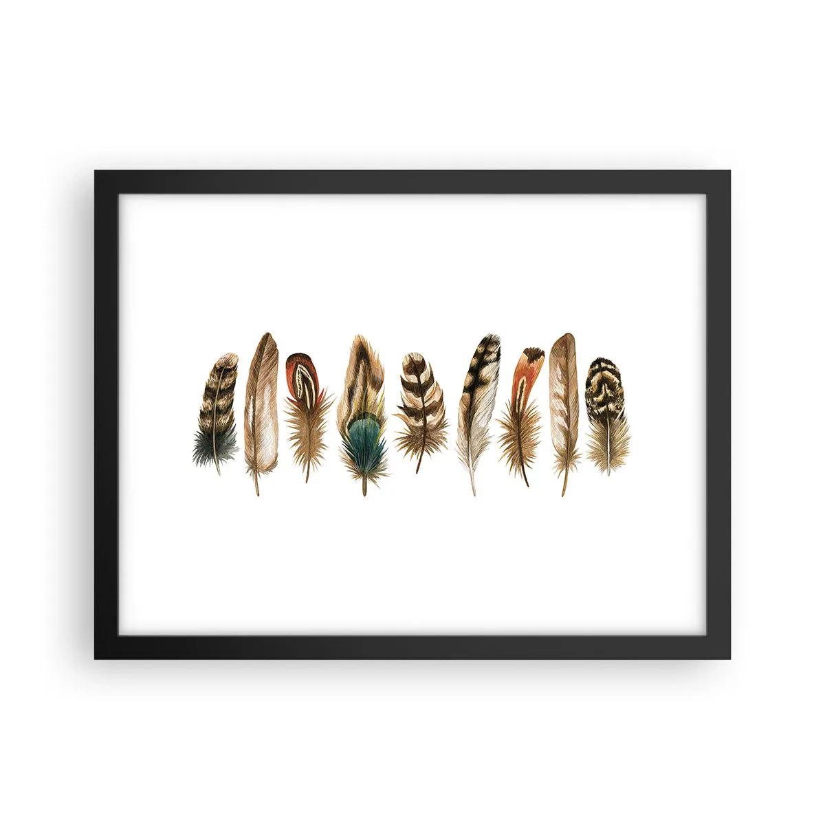 Poster in een zwarte lijst - Een gevederde variatie - 40x30 cm