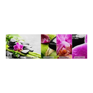 Fotobehang Monster Premium Sand - In een vrede evenwicht - Bloemen, Orchidee, Orchidee - 100x30 cm