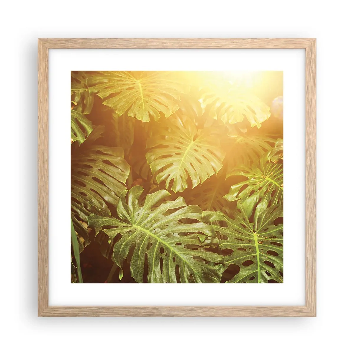 Een poster in een licht eiken lijst - In het groen treden... - 40x40 cm