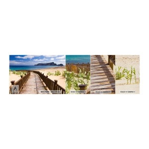 Fotobehang Monster Premium Canvas - Neem me mee naar de gelukkige eilanden - Landschap, Strand, Madeira - 100x30 cm