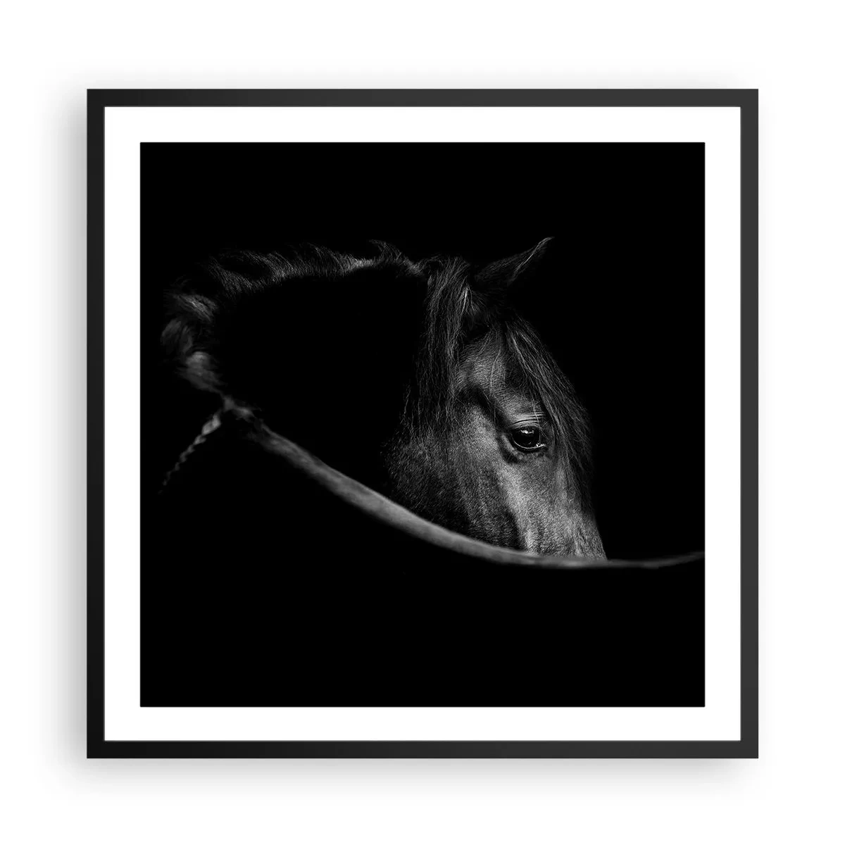 Poster in een zwarte lijst - Zwarte Prins - 60x60 cm