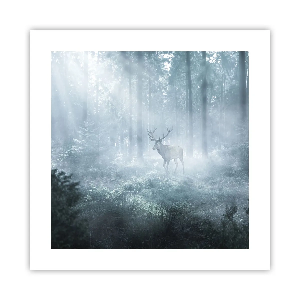 Poster - Ochtendbezoek aan het landgoed - 40x40 cm