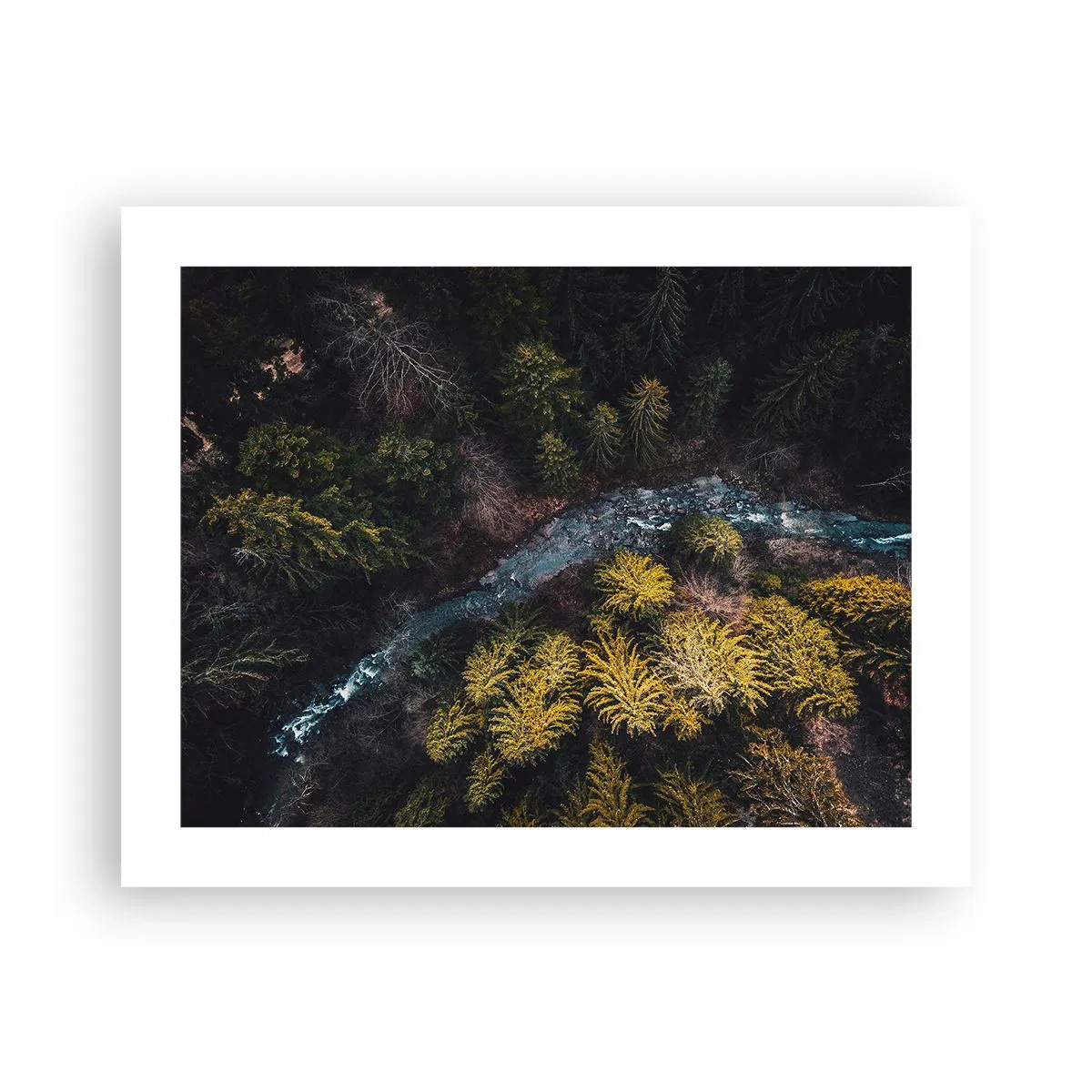 Poster - Snel, sneller en sneller - 50x40 cm