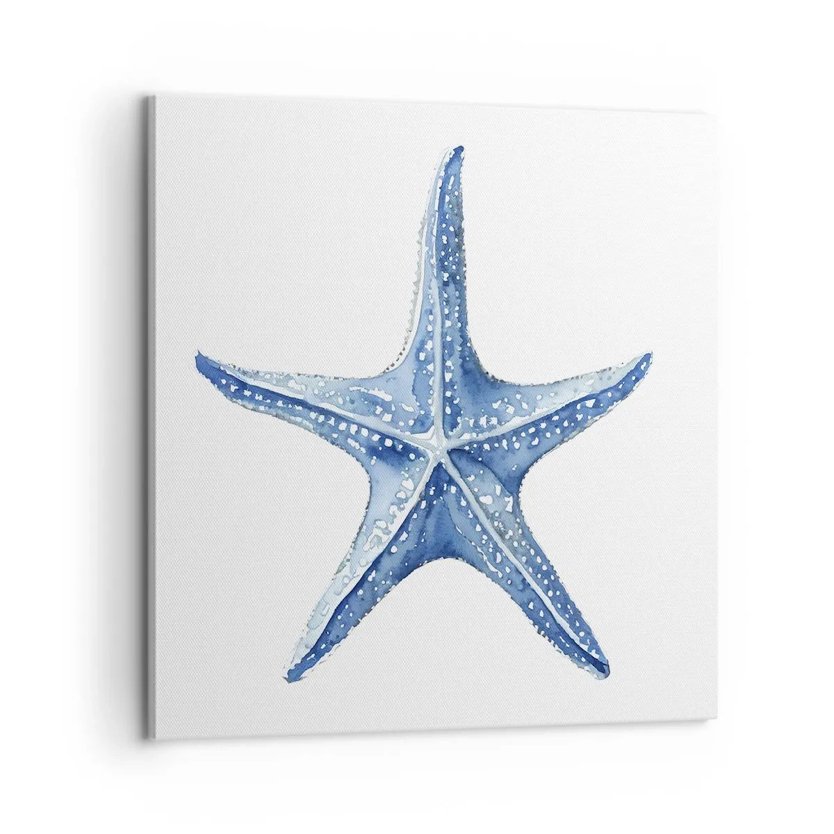 Schilderen op canvas - Ster van de zee - 60x60 cm