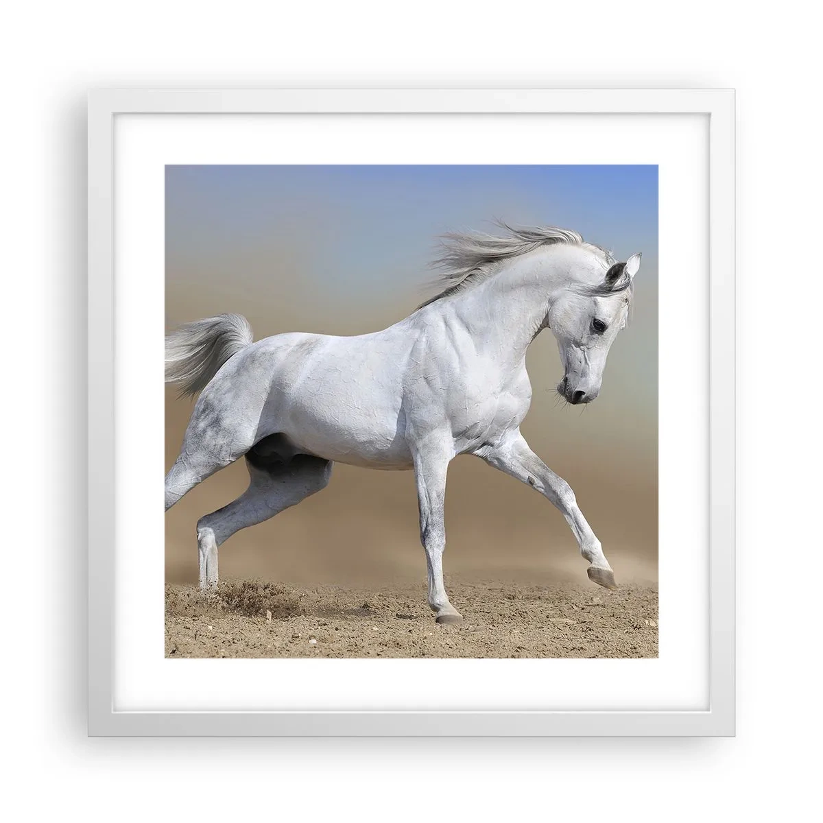 Poster in een witte lijst - Het mooiste Arabische sprookje - 40x40 cm
