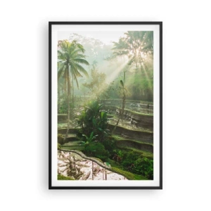 Poster in een zwarte lijst - Opgroeien in de zon - 61x91 cm
