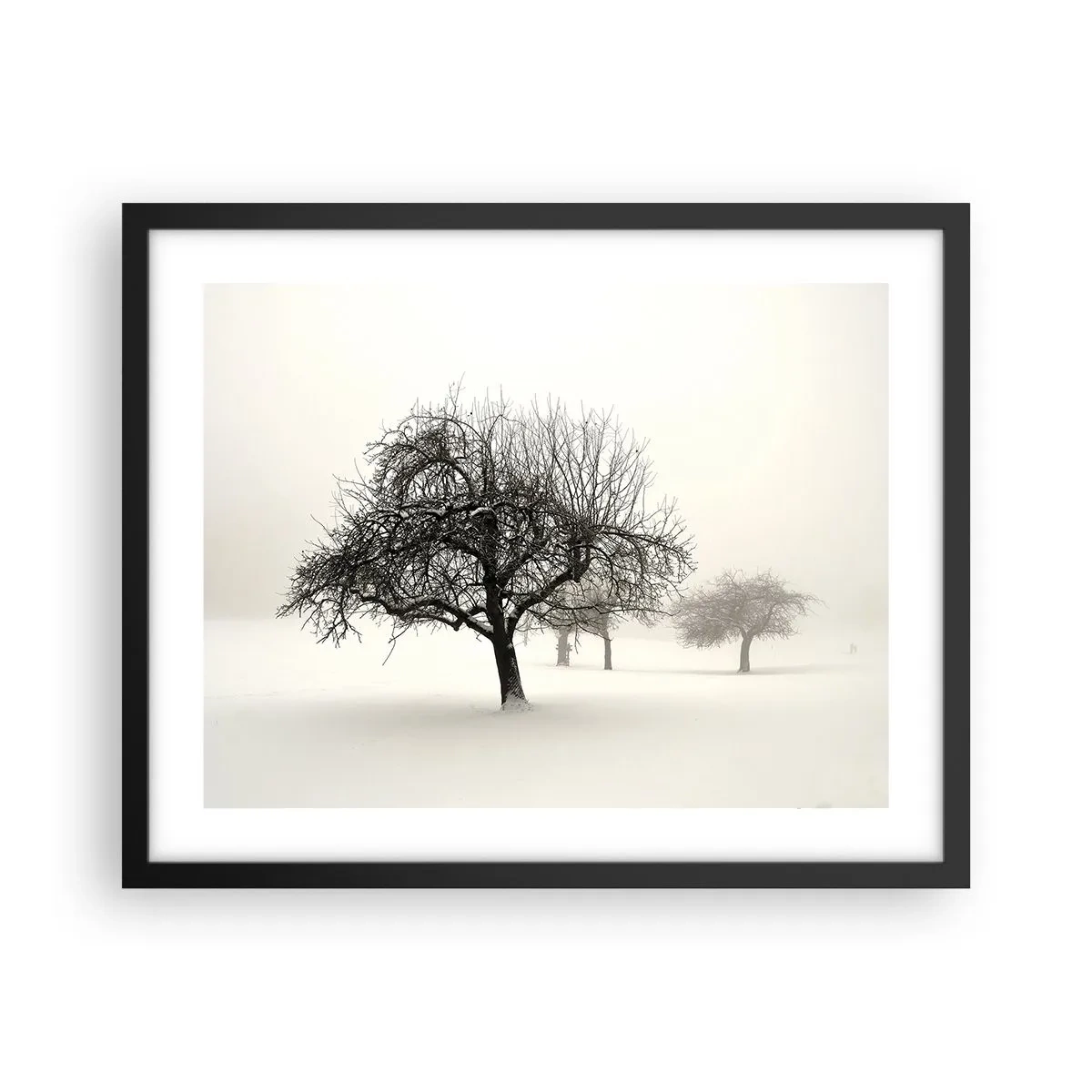 Poster in een zwarte lijst - Winterslaap - 50x40 cm