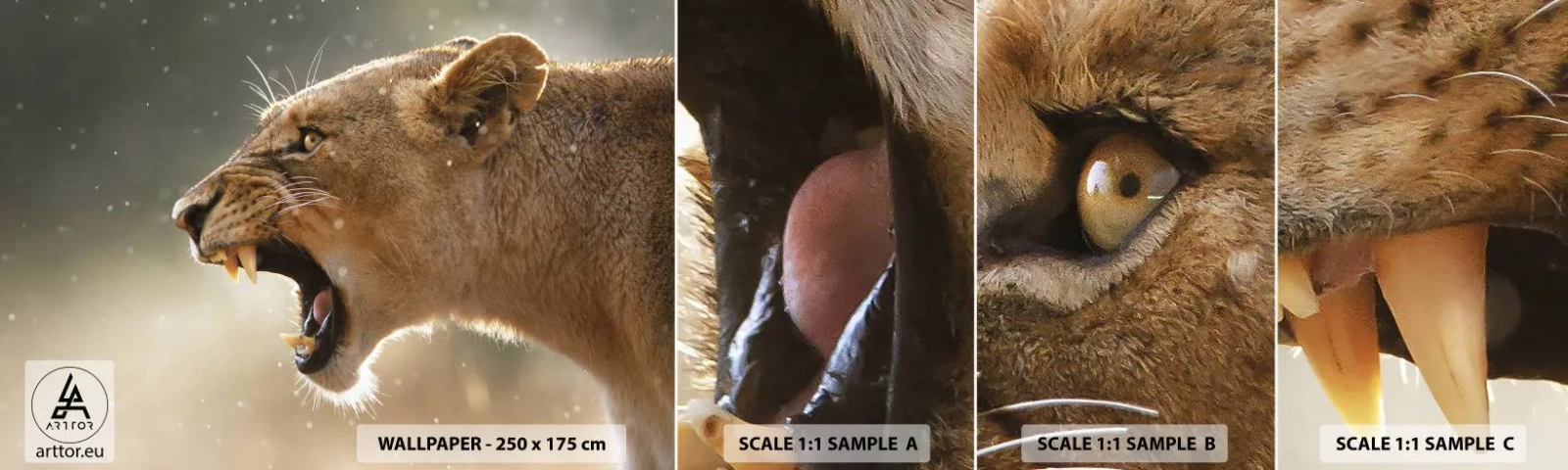 Fotobehang Monster Zelfklevend Deluxe Sticker - Probeer niet te luisteren - Dieren, Leeuw, Afrika - 100x30 cm