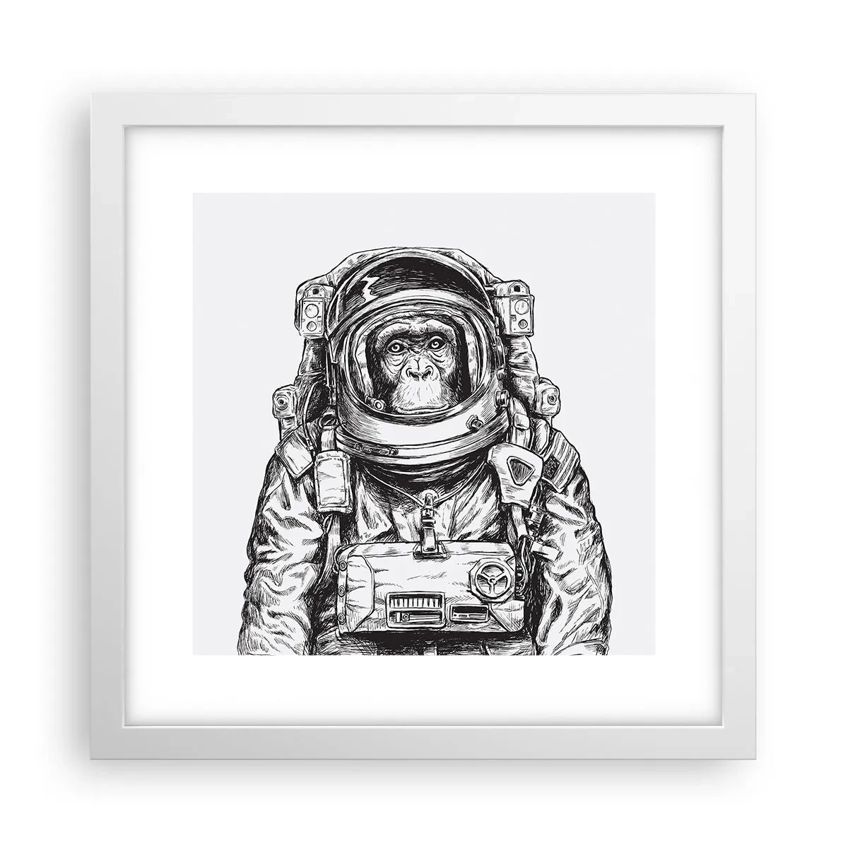 Poster in een witte lijst - Alternatieve evolutie - 30x30 cm