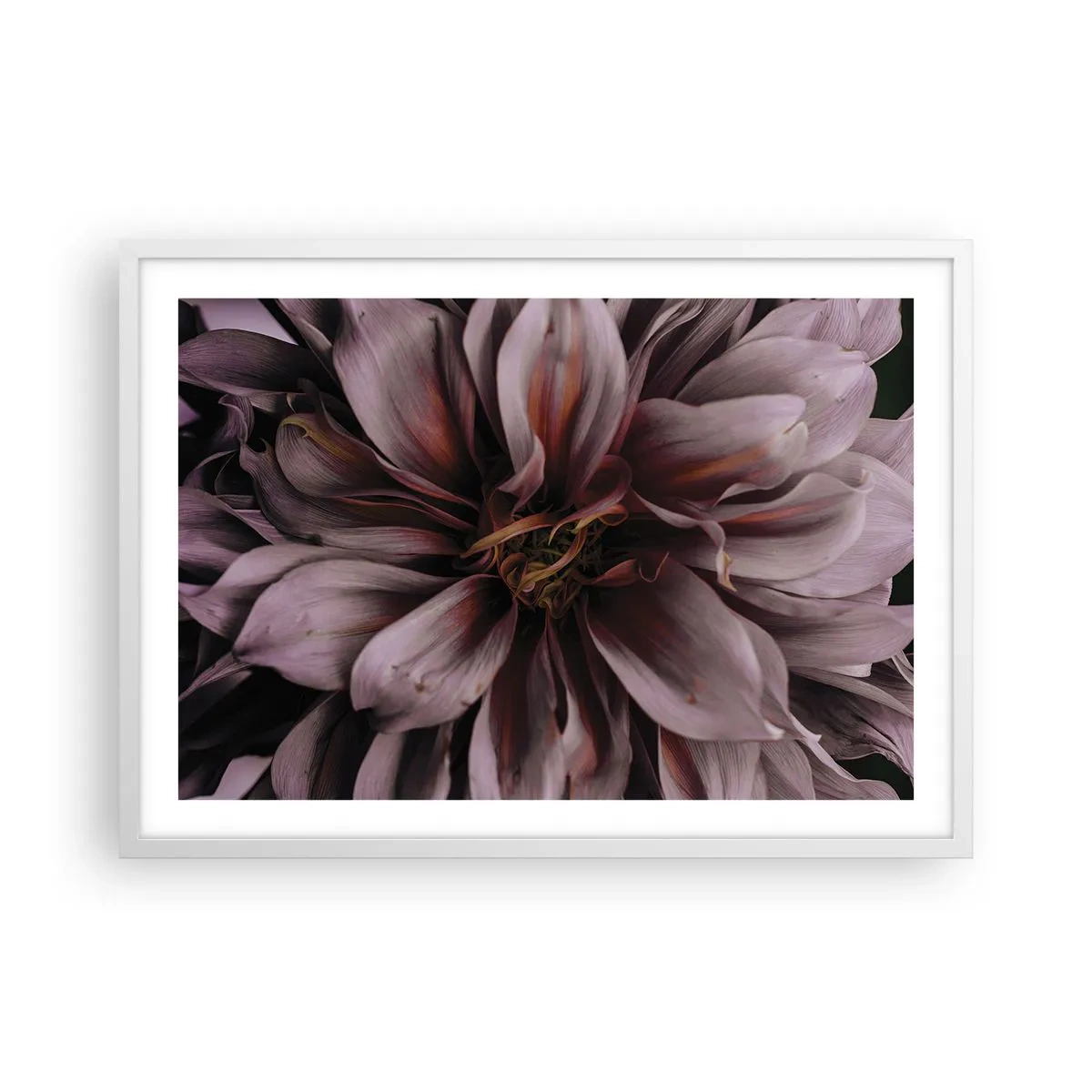 Poster in een witte lijst - Een bloemenhart - 70x50 cm