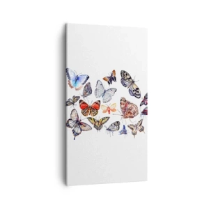 Schilderen op canvas - Kanten, kleurrijke zwerm - 45x80 cm