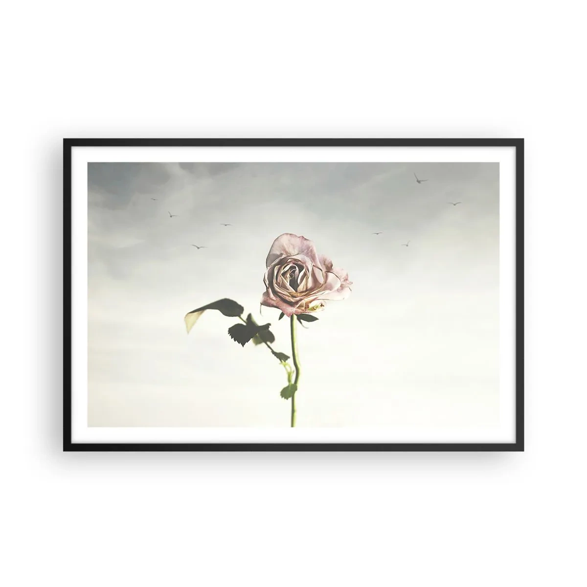 Poster in een zwarte lijst - Begroeting van de lente - 91x61 cm