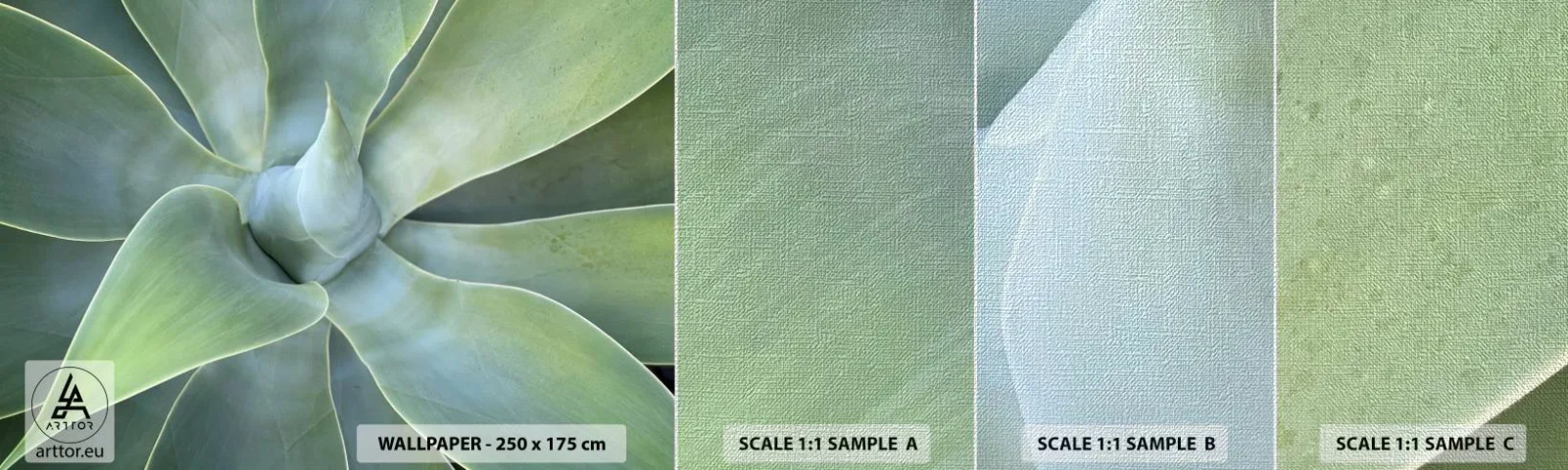 Fotobehang Monster Premium Canvas - De geboorte van groen - Sappig, Agave, Plantkunde - 100x30 cm