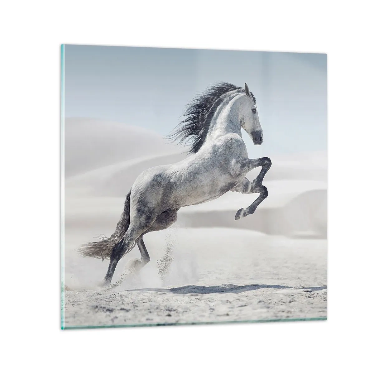 Schilderen op glas - Arabische prins - 60x60 cm