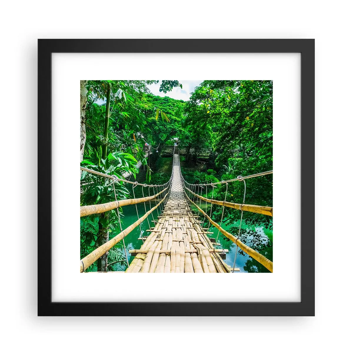 Poster in een zwarte lijst - Apenbrug over de green - 30x30 cm