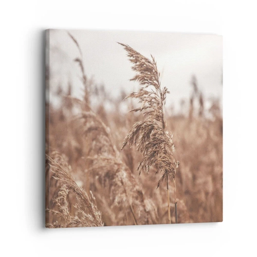 Schilderen op canvas - Het is al herfst in de velden - 30x30 cm