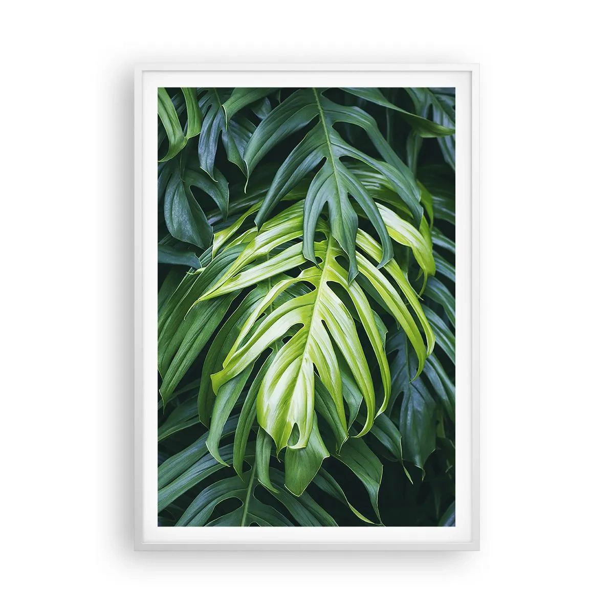 Poster in een witte lijst - Dompel jezelf onder in de frisheid - 70x100 cm