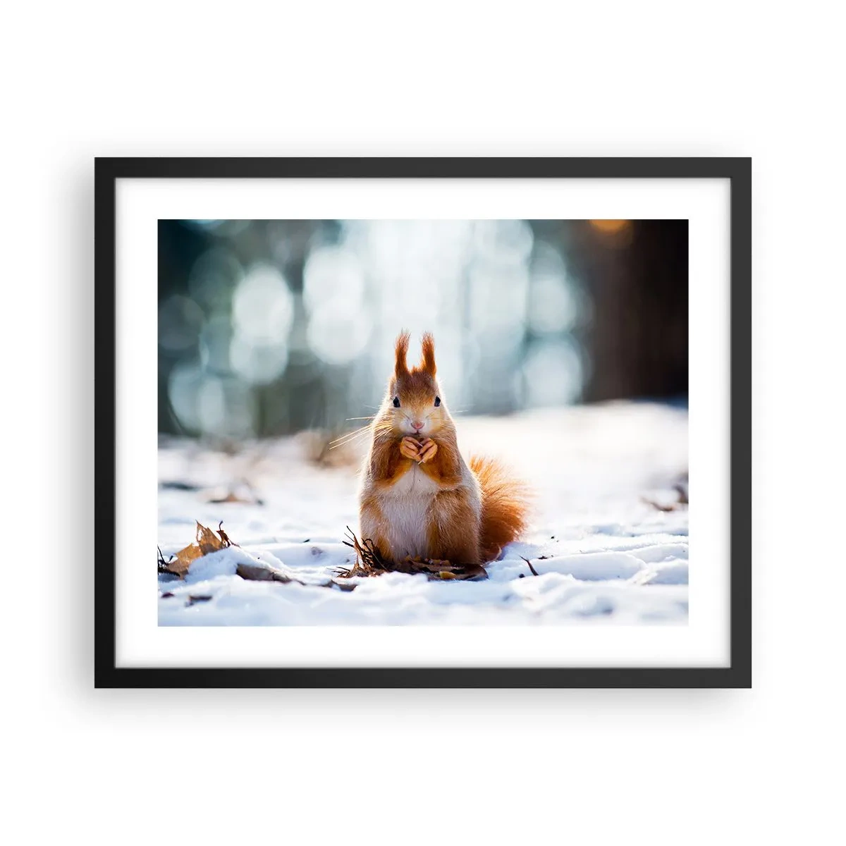 Poster in een zwarte lijst - Waar kijk je naar? - 50x40 cm