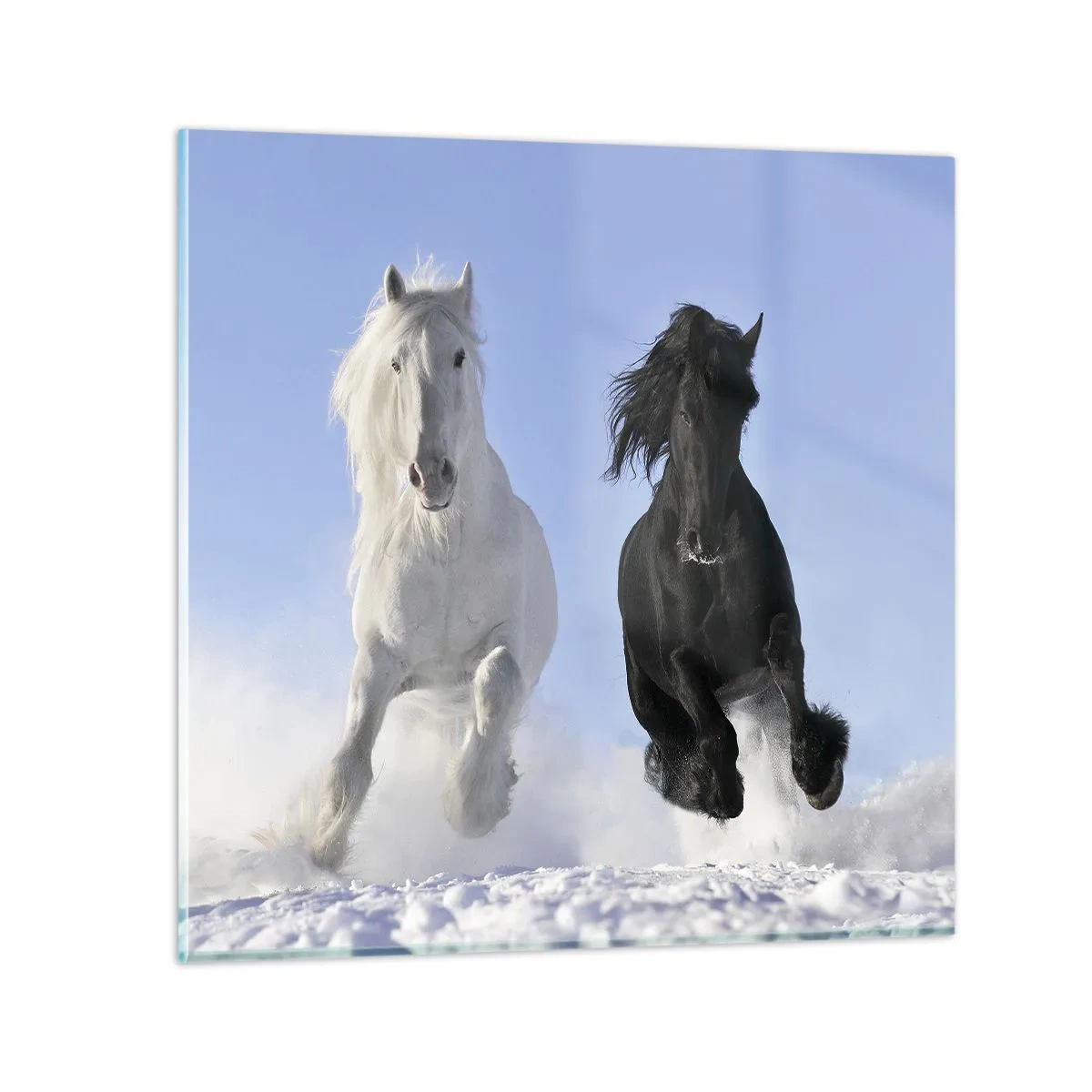 Schilderen op glas - Zwart-wit galop - 50x50 cm