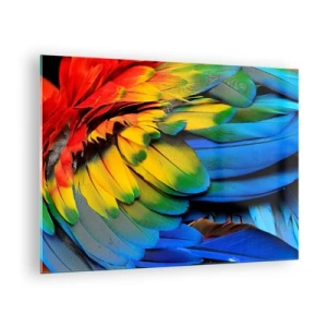 Schilderen op glas - Kleurrijke papegaaienveren in intense regenboogkleuren - 70x50cm - Paradijsvogel - Moderne wanddecoratie voor woonkamer en slaapkamer ARTTOR