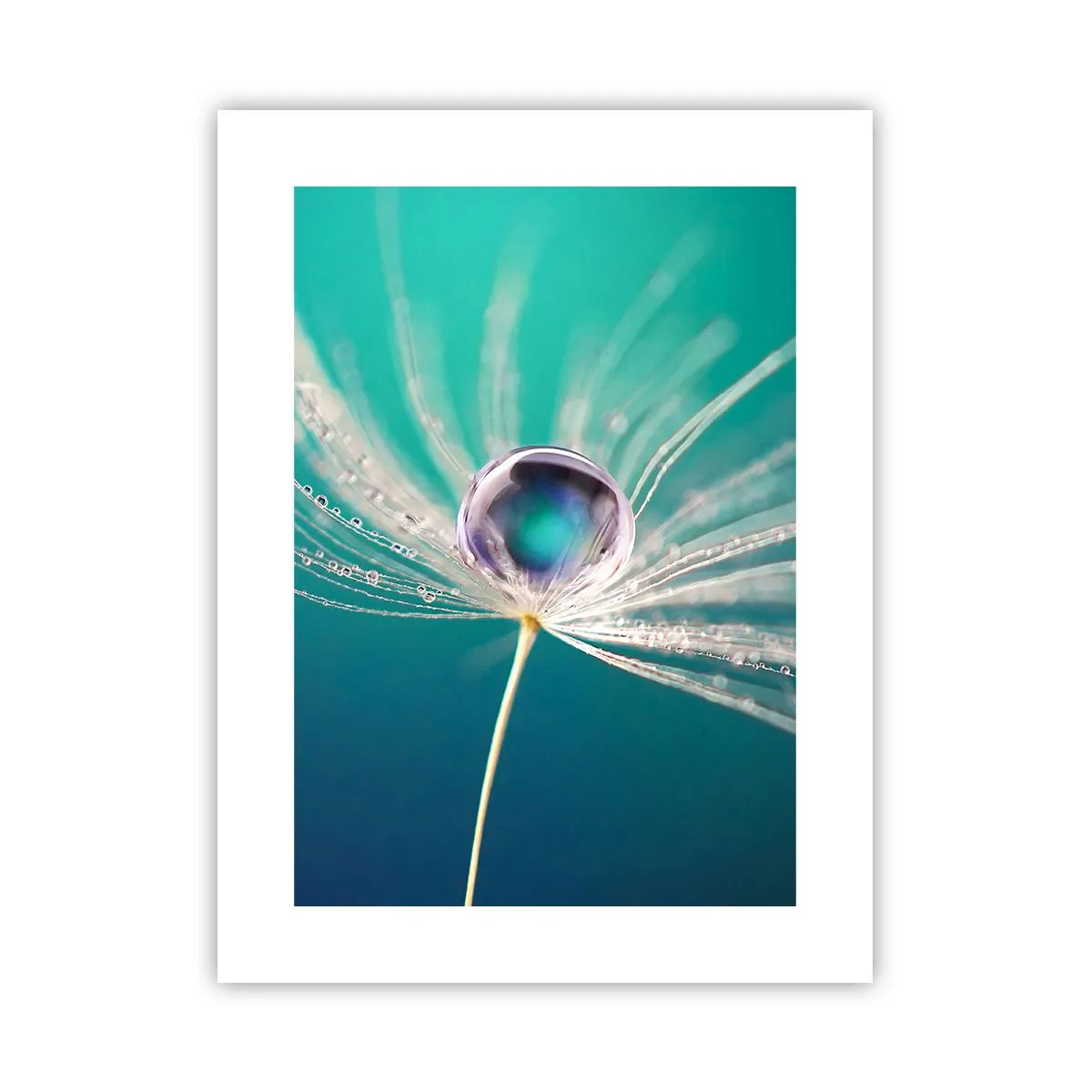 Poster - Mystiek moment - 30x40 cm