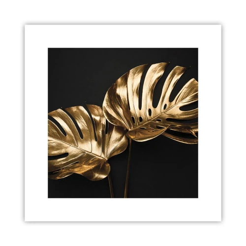 Poster - De schatten van de natuur - 30x30 cm