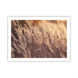 Poster - Klaar om de herfst te verwelkomen - 70x50 cm