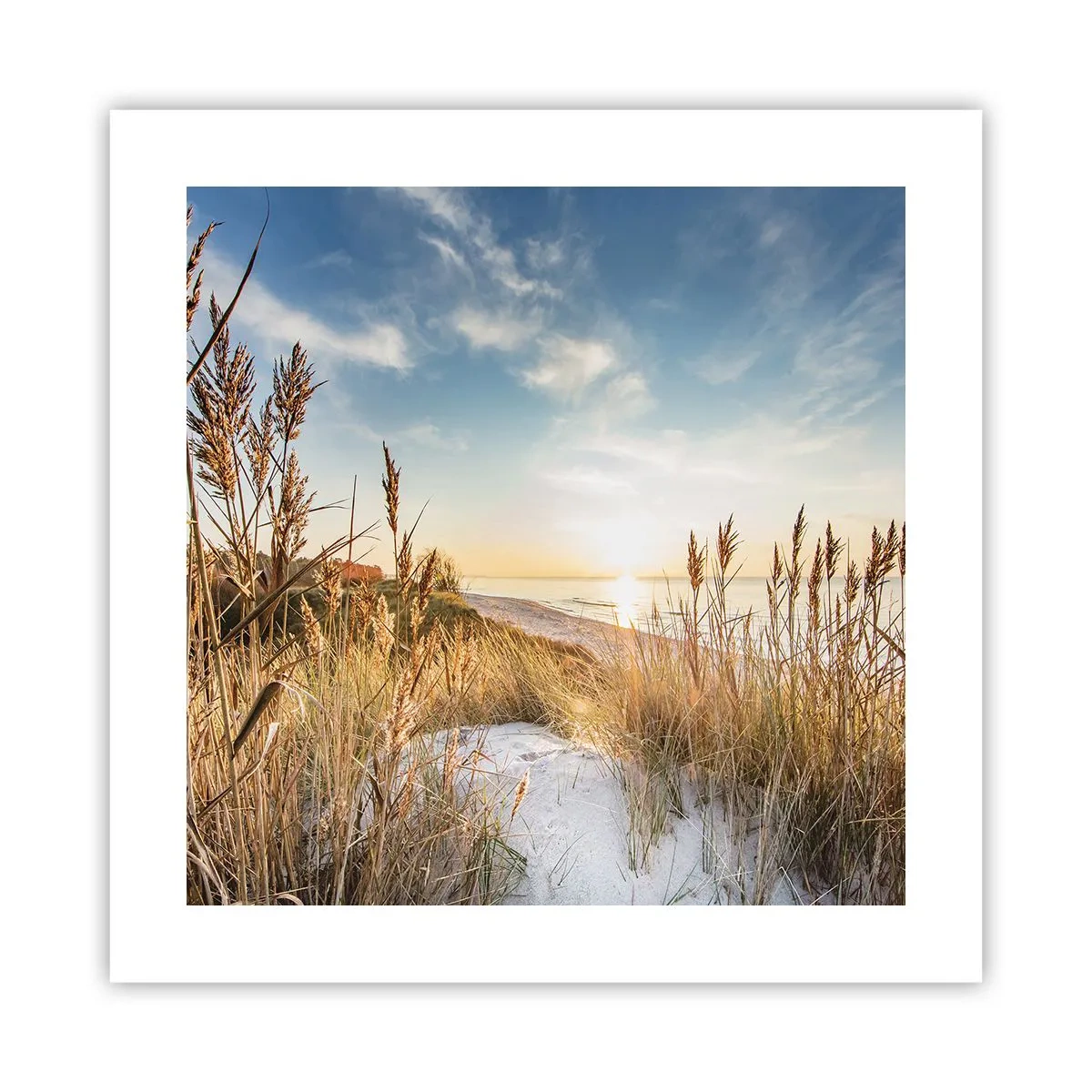 Poster - Noord strand - 40x40 cm