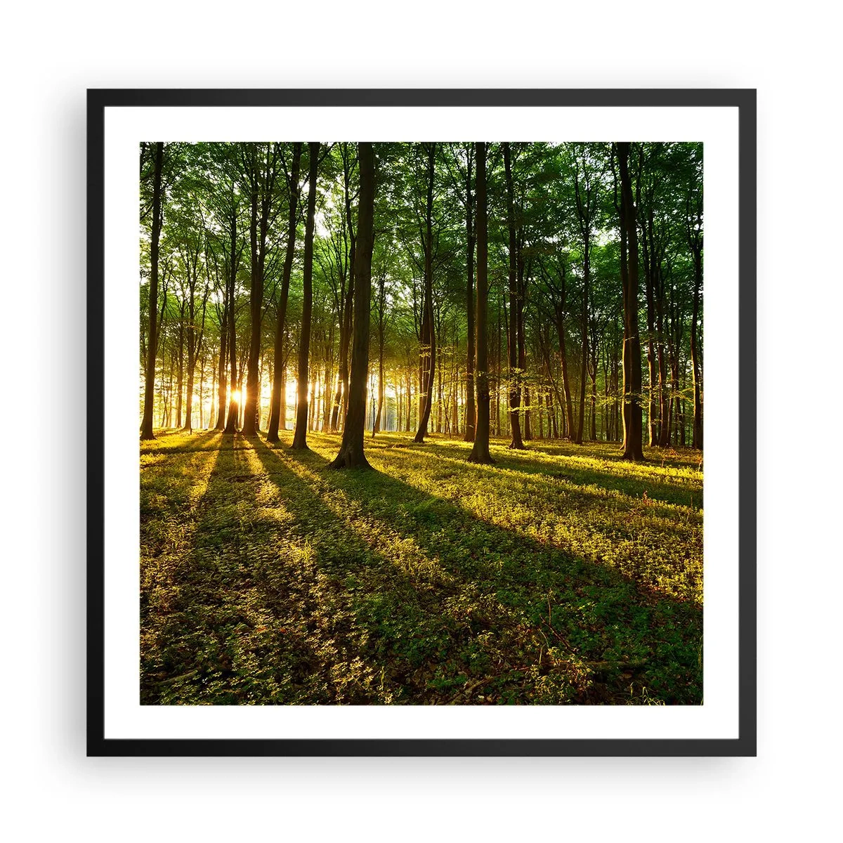 Poster in een zwarte lijst - Foto van de hele lente - 60x60 cm