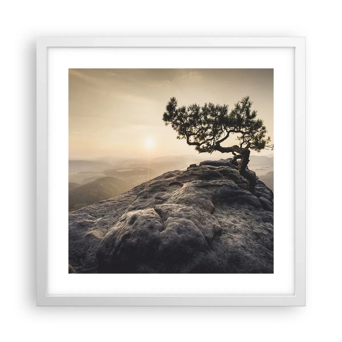 Poster in een witte lijst - Het leven wint altijd - 40x40 cm