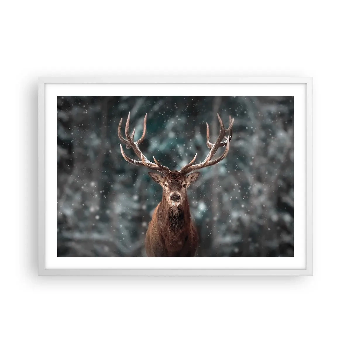 Poster in een witte lijst - Gekroond tot koning van het bos - 70x50 cm