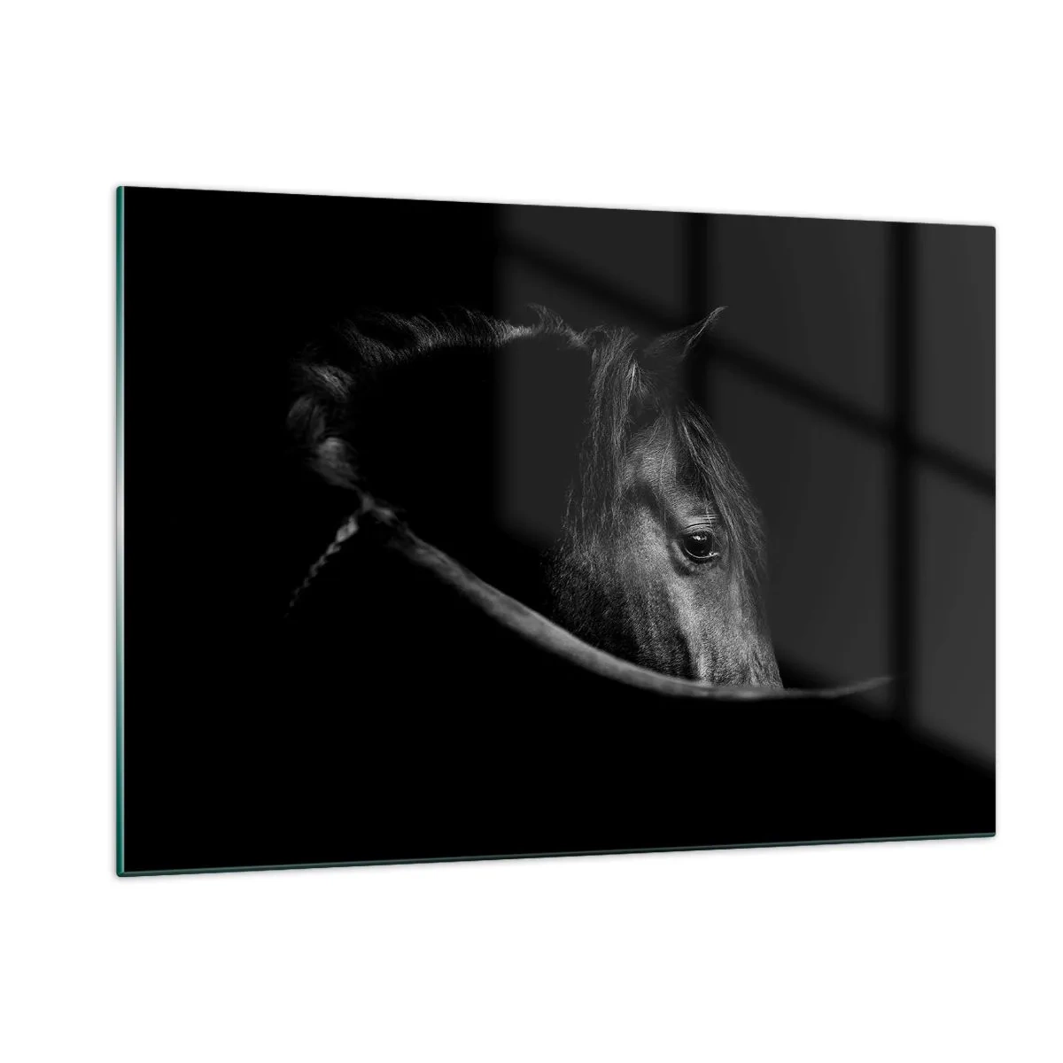 Schilderen op glas - Zwarte Prins - 120x80 cm