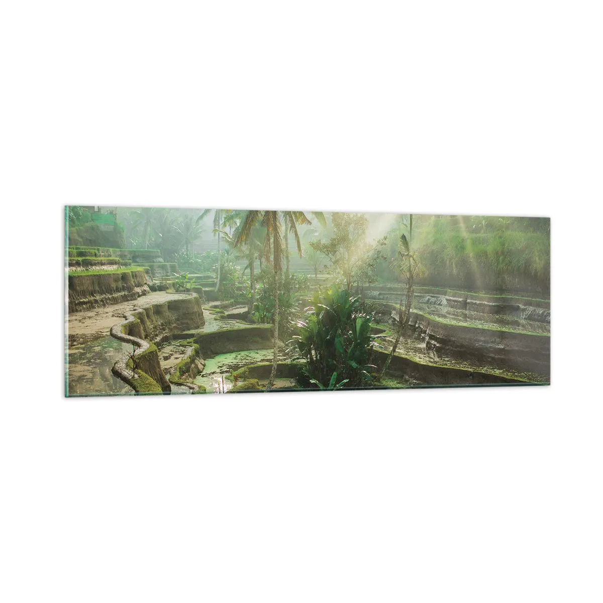 Schilderen op glas - Opgroeien in de zon - 90x30 cm