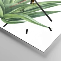 Dash schild
