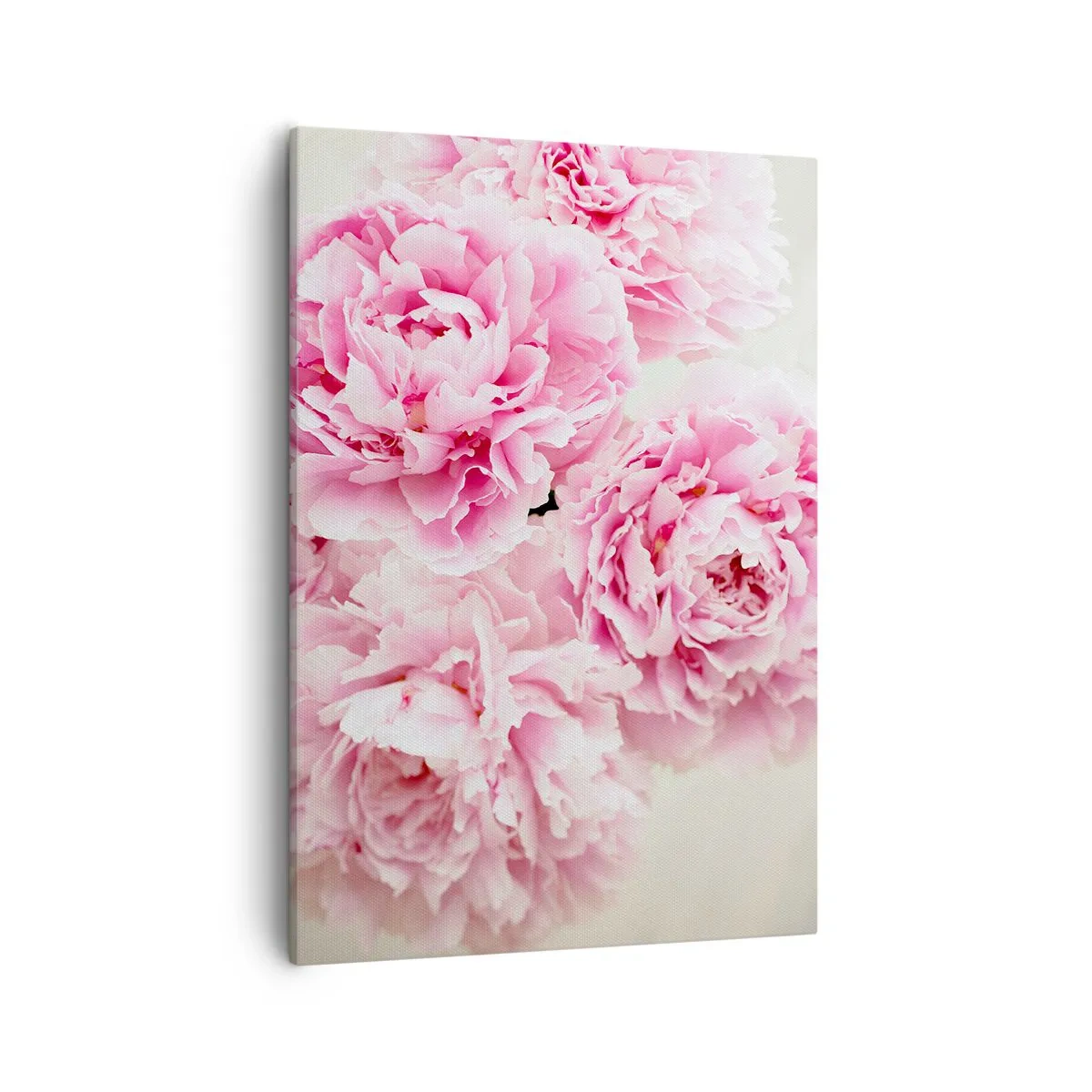 Schilderen op canvas - In roze glamour - 50x70 cm