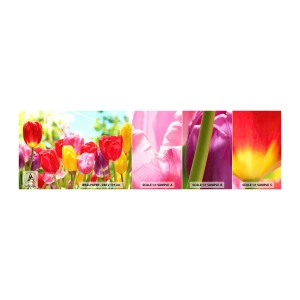 Fotobehang Monster Zelfklevend Deluxe Sticker - Dat zijn wij, de kleuren van mei! - Bloemen, Tulpen, Tuin - 100x30 cm