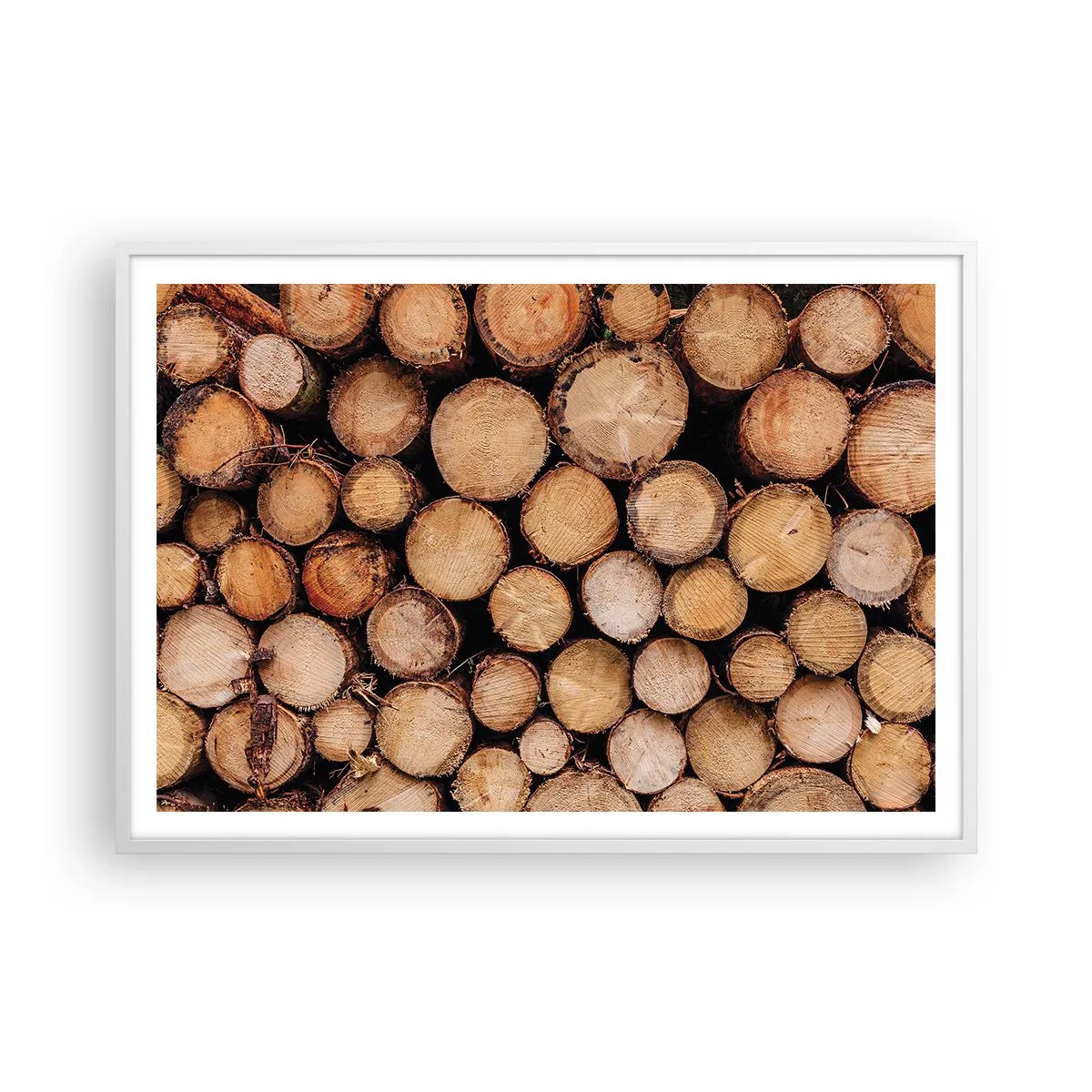 Poster in een witte lijst - Een nieuw begin - 100x70 cm