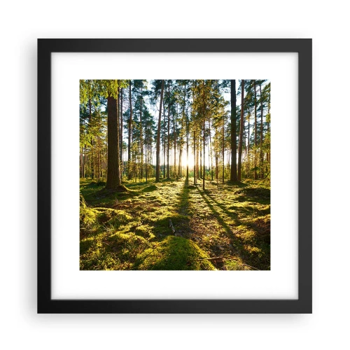 Poster in een zwarte lijst - … Achter de zeven bossen - 30x30 cm