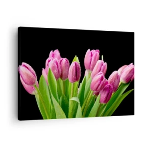 Schilderen op canvas - Roze tulpen met dauwdruppels op een zwarte achtergrond - 70x50cm - Lila vreugde van de lente - Moderne wanddecoratie voor woonkamer en slaapkamer ARTTOR