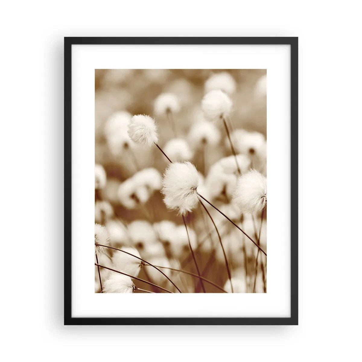 Poster in een zwarte lijst - Pluizig korenveld - 40x50 cm