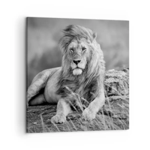 Schilderen op canvas - Koninklijke siësta - 50x50 cm