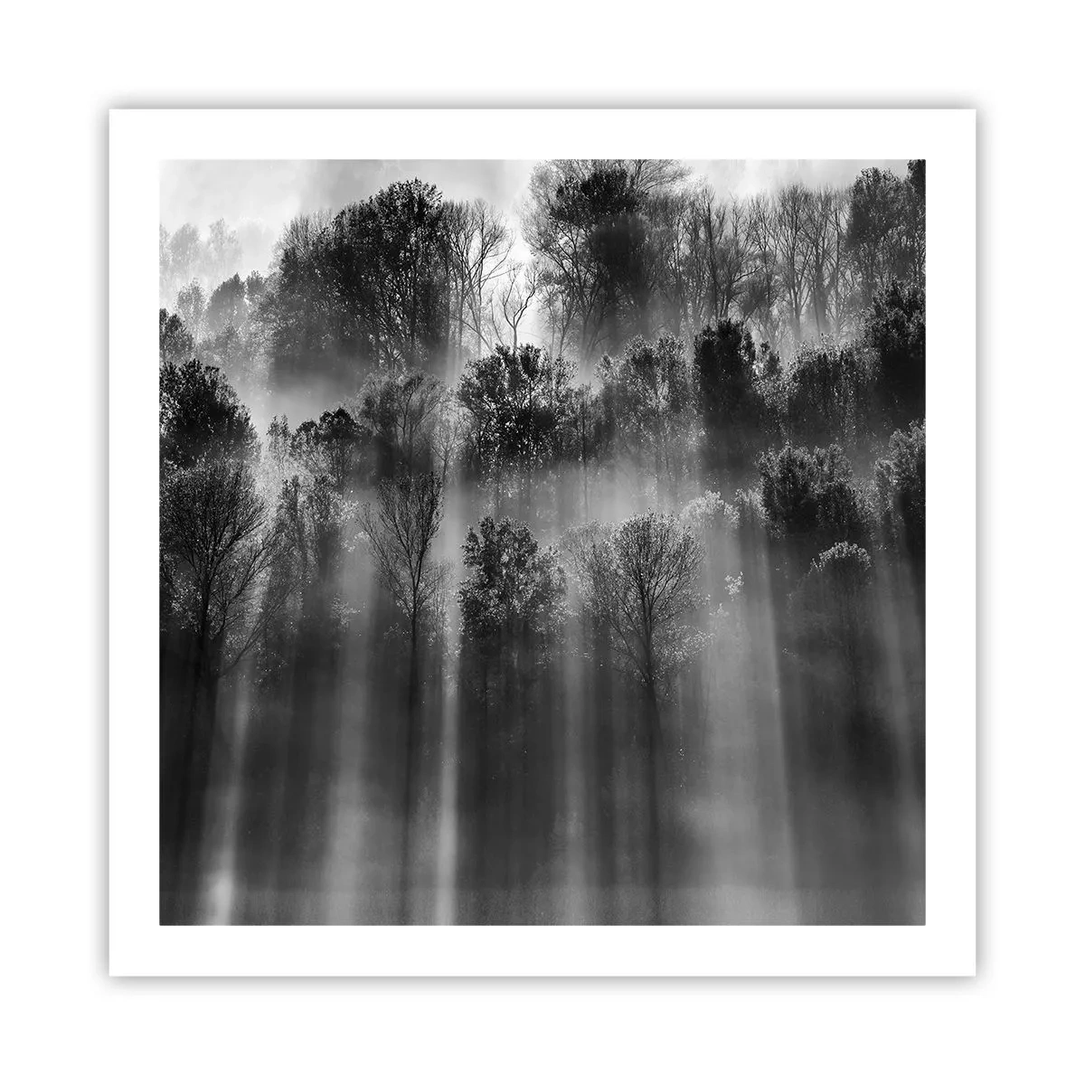 Poster - In stromen van licht - 60x60 cm