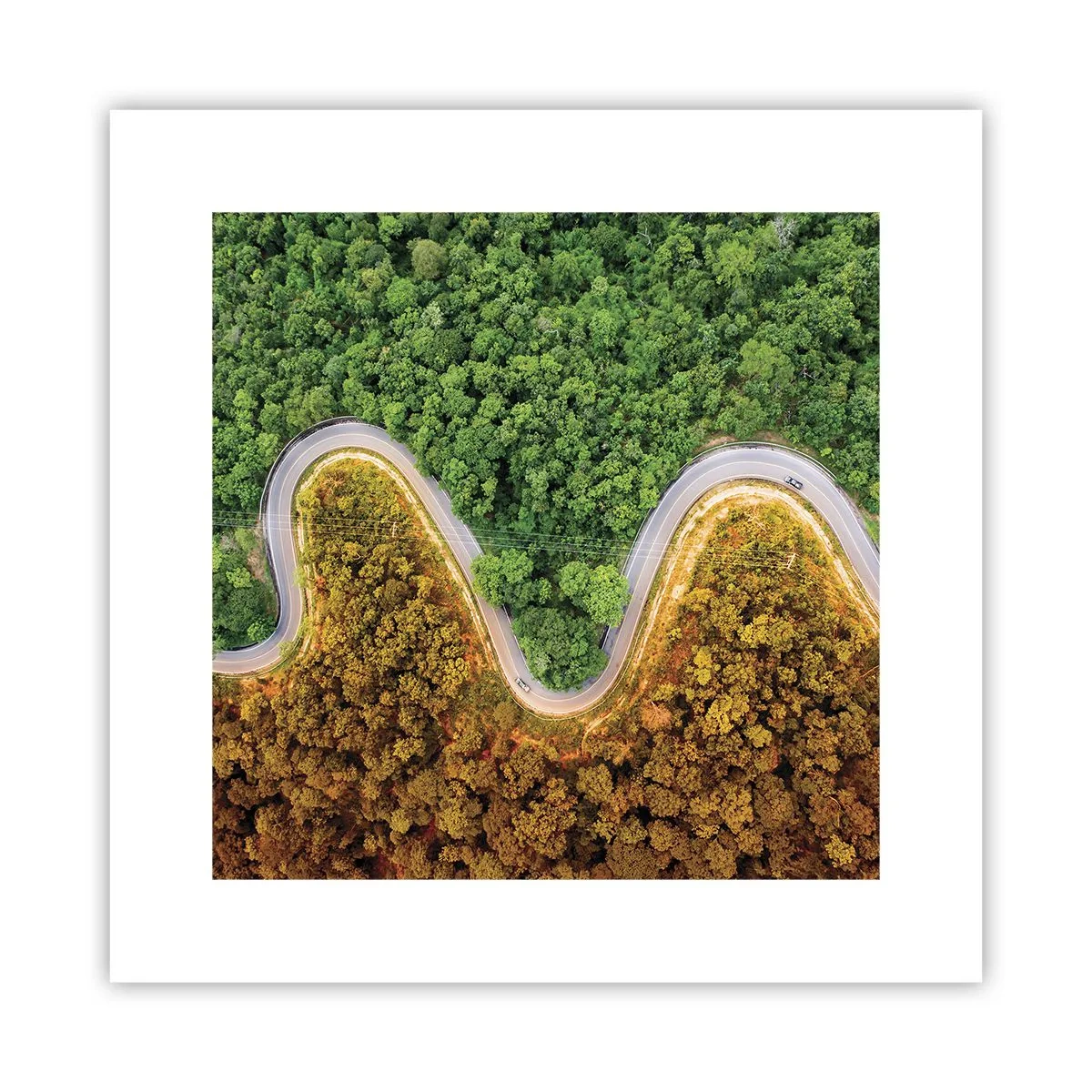 Poster - Grenzen en doorbraken - 30x30 cm