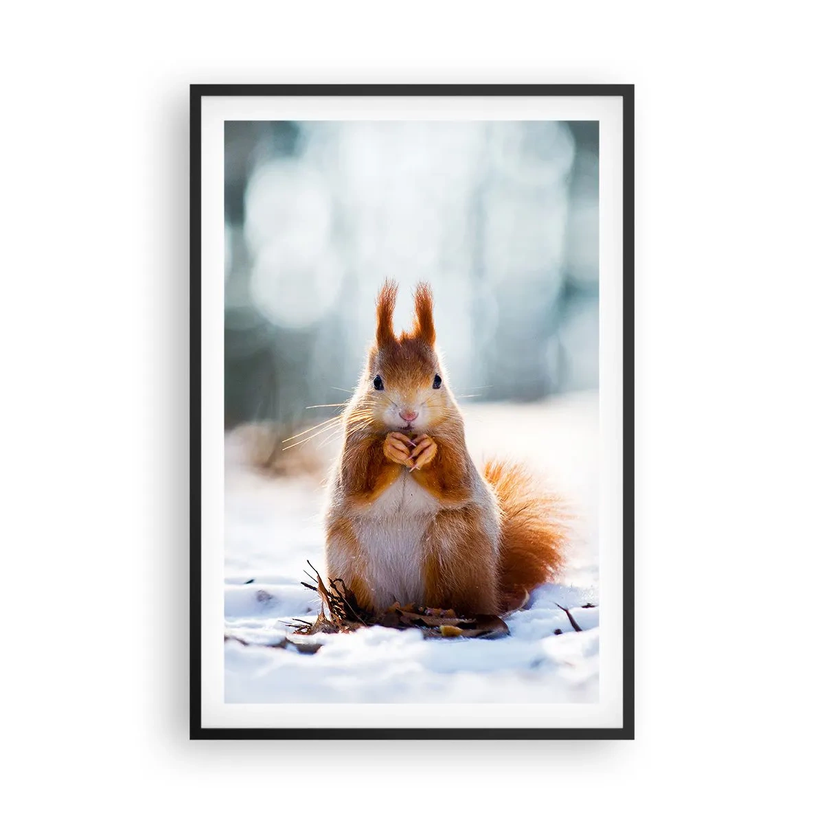 Poster in een zwarte lijst - Waar kijk je naar? - 61x91 cm